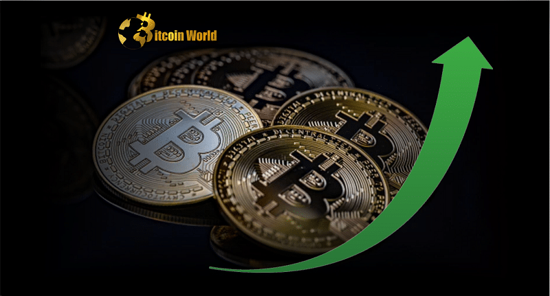 Pundit Predicts Bitcoin’s Next Price Move as Accumulation Continues   