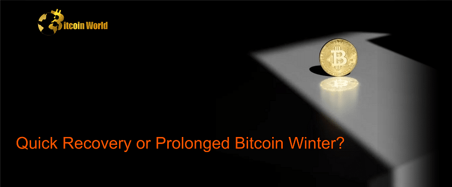Crypto: Quick Recovery or Prolonged Bitcoin Winter? Analysts Opine