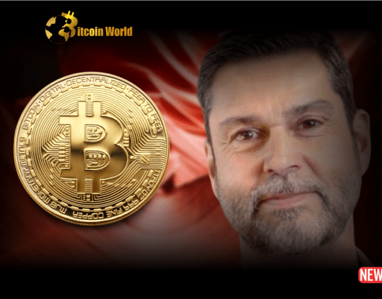 raoul pal btc