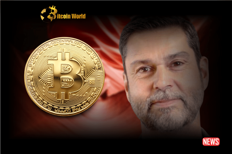 raoul pal btc