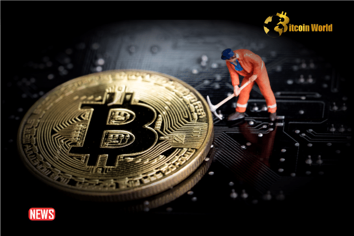 Rare Satoshi Mined in Fourth Bitcoin Halving Block Sold for Over $2 Million
