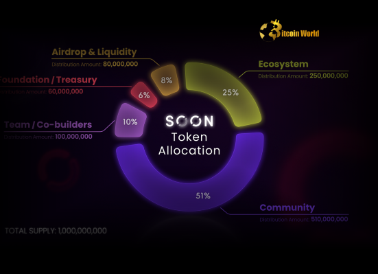 Revealed SOON Tokenomics Focuses Heavily on Community with 51% Allocation