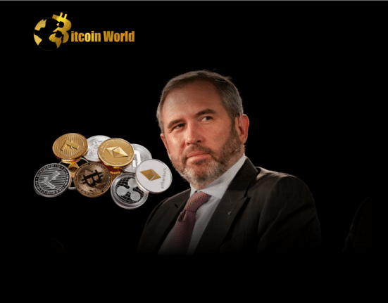 Ripple CEO Says America Falls Behind Other Countries in Crypto Adoption