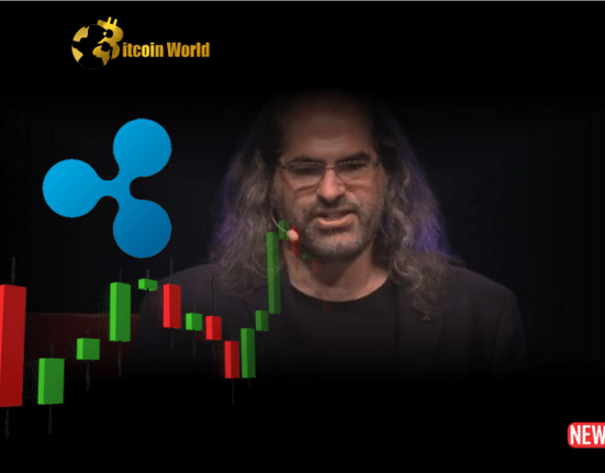 ripple ceo amm