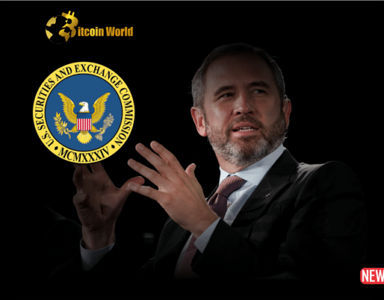ripple ceo sec 1