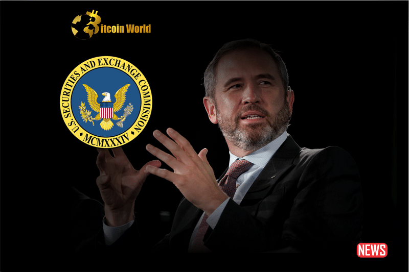 ripple ceo sec 1