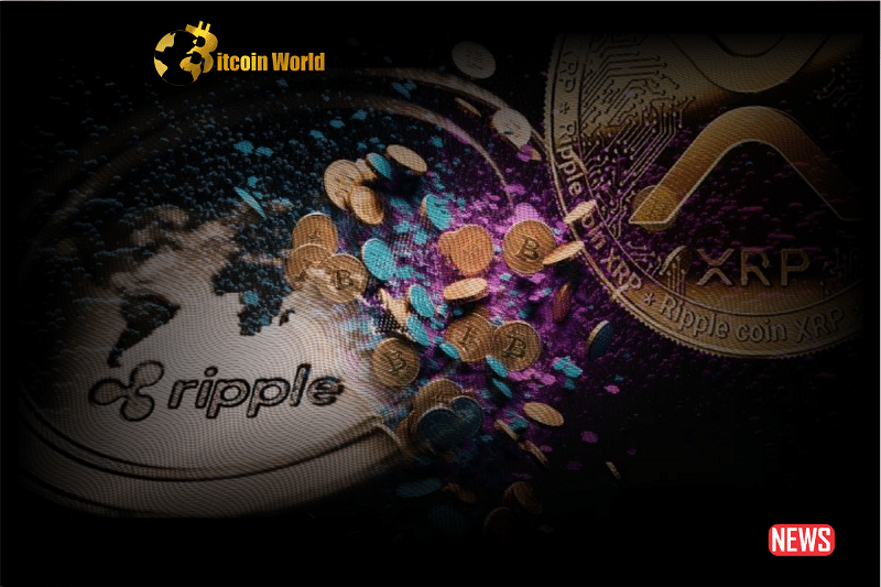 ripple ceo vision