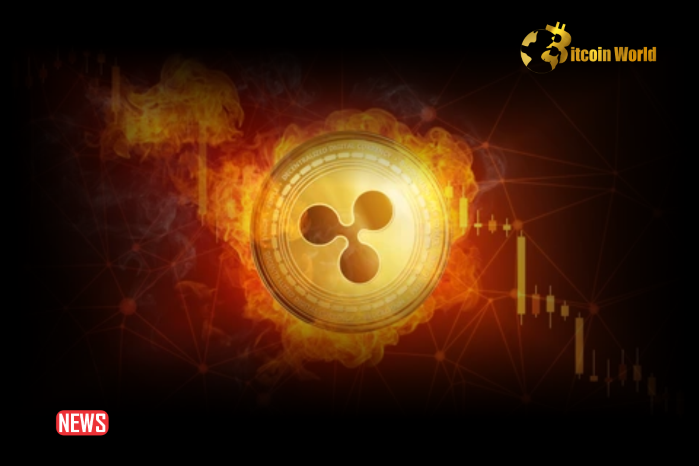 XRP Price Plunge as Ripple Locks Away 800 Million Tokens in Escrow