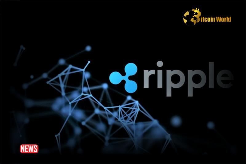 Ripple Market Got VASP License In Ireland, To Expand Its Services To Clients Across The European Economic Area