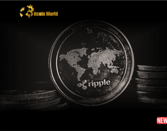 ripple sec 6