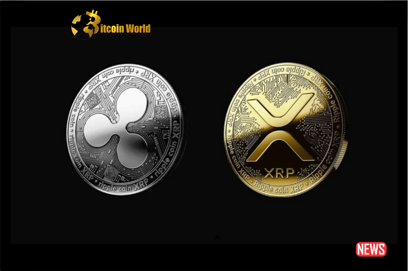 ripple xrp 1