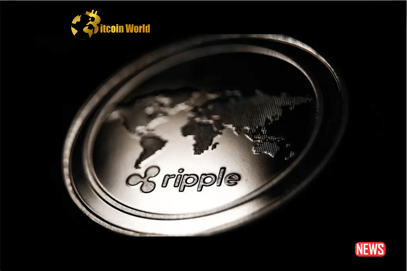 ripple xrp solution