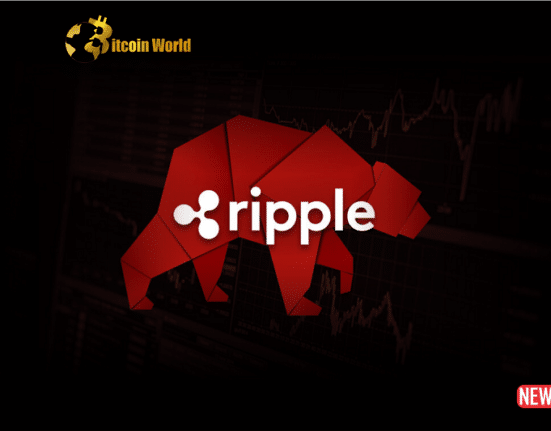 ripples bears
