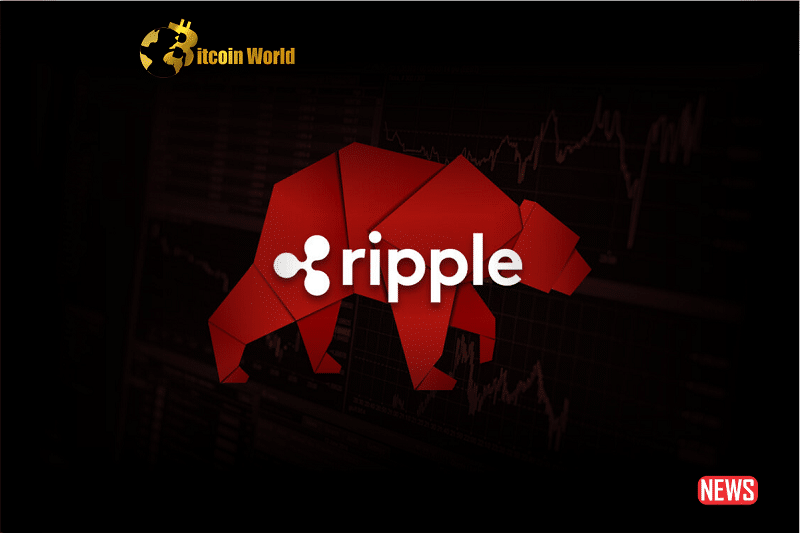 ripples bears