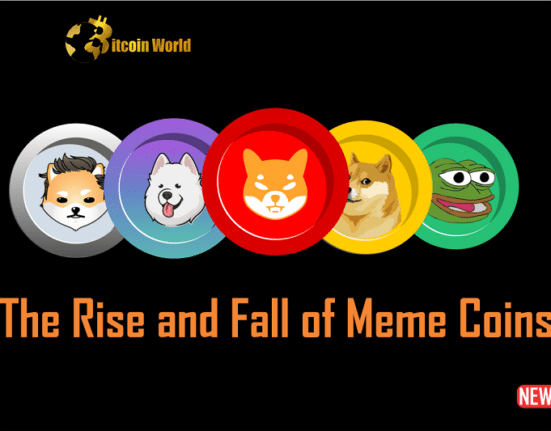 rise and fall of meme