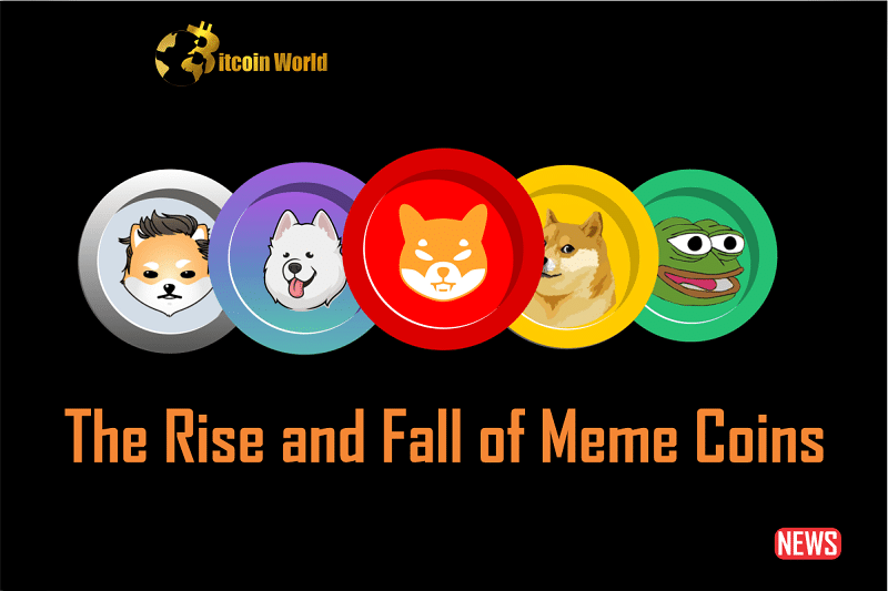 rise and fall of meme