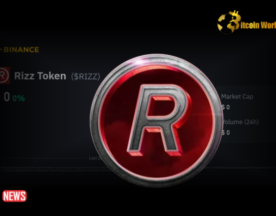 Rizz Founder Watches Meme Coin Plummet 90% During Live Space Pitch
