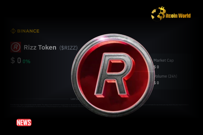 Rizz Founder Watches Meme Coin Plummet 90% During Live Space Pitch