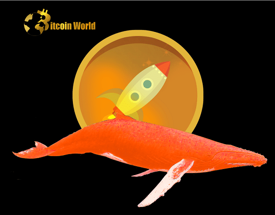 rocketpool