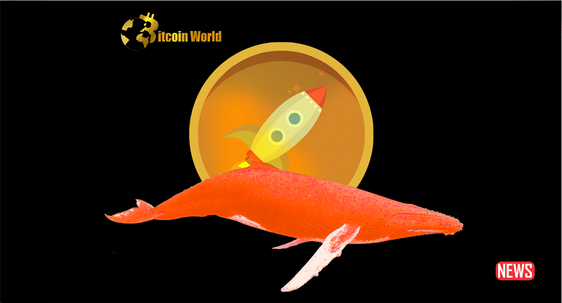 rocketpool