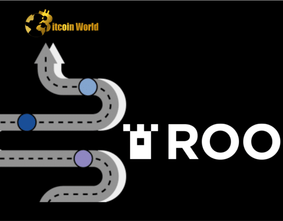 DeFi Protocol ROOK ‘Gagged’ From Sharing Roadmap by Clients, CEO Says