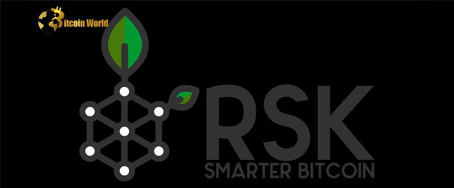 Altcoin Built to Boost Bitcoin Soars 90% in One Day As BTC DeFi Narrative Takes Over