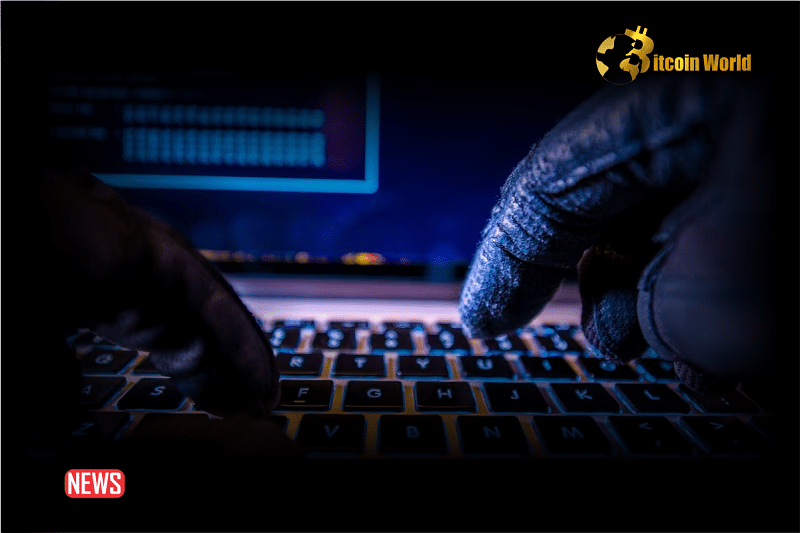 Safe Wallet Users Lost $2 Million To Scammers In One Week