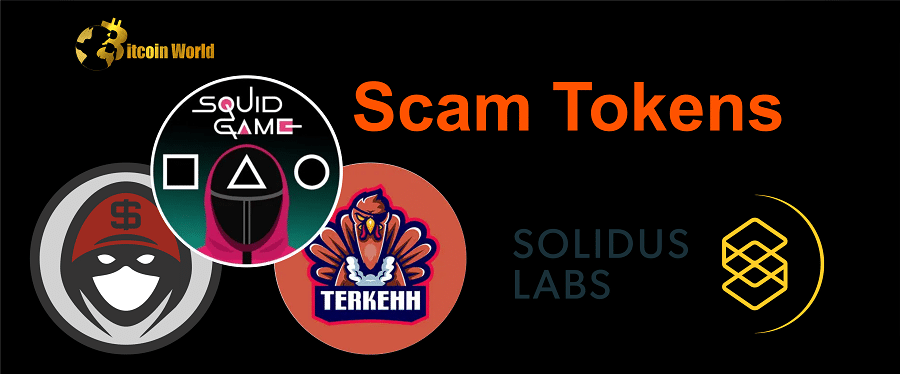 350 New 'Scam Tokens' were Created Every Day this Year: Solidus Labs