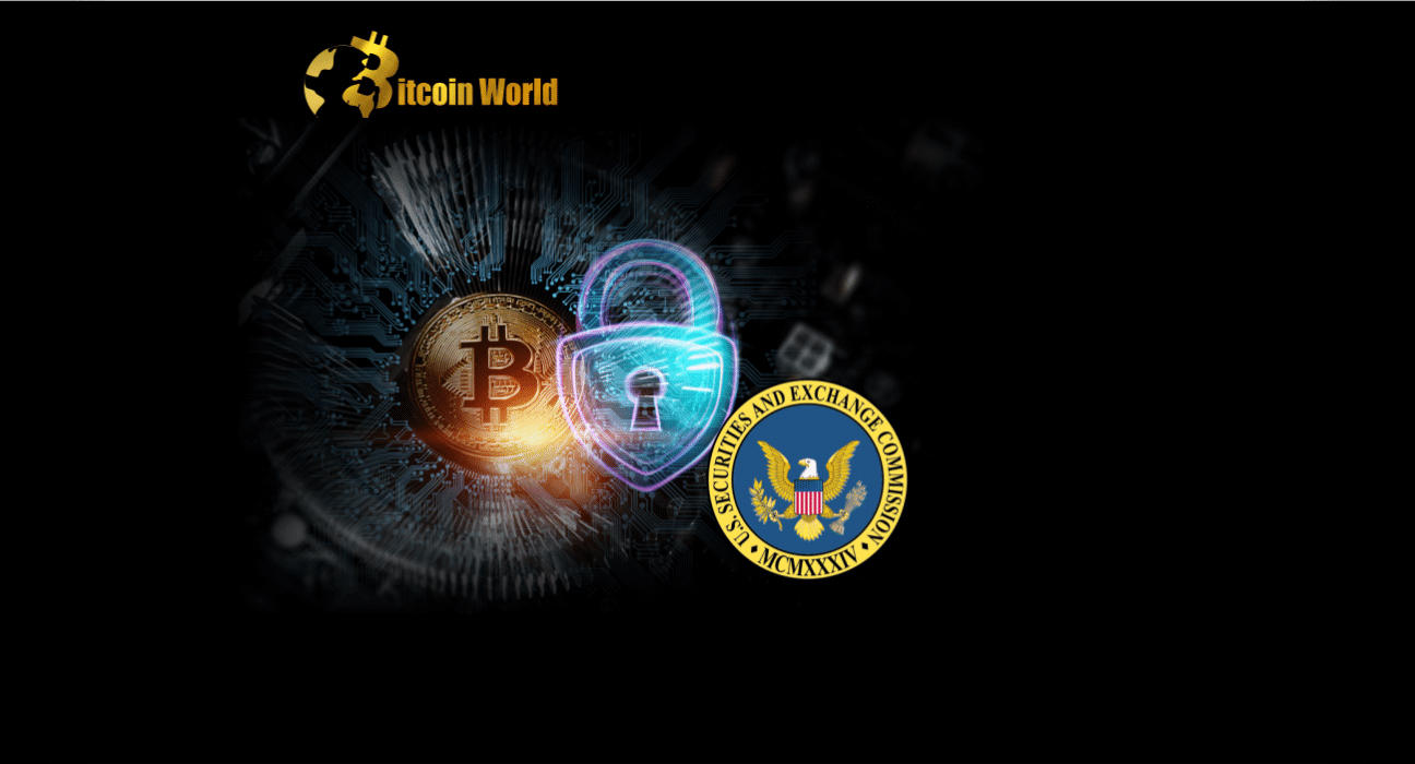 U.S. Lawmakers Argue SEC Accounting Policy Places Crypto Customers at Risk