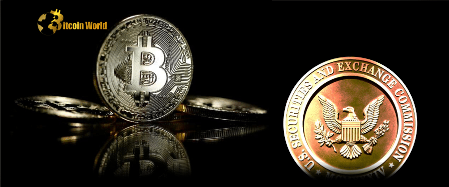 SEC Calls on Firms to Disclose Exposure to Crypto Bankruptcies and Risks