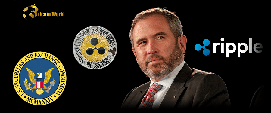 Ripple CEO Weighs in on Global Crypto Adoption After SEC Clampdown