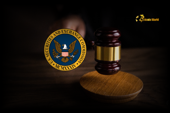 SEC Charges Two Brothers In $61 Million Crypto Investment Ponzi Scheme