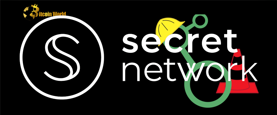 Validator shut down as Secret Network struggles with leadership
