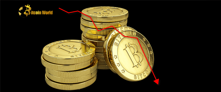 After Losing Coins, Bitcoin Core Dev Starts to Doubt Self-Custody