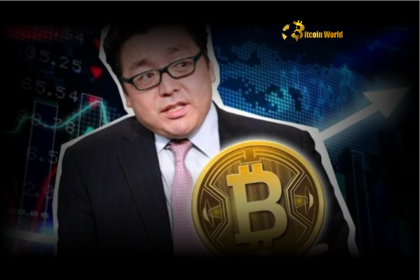 Semler Scientific: Why Tom Lee Sees Unexpected Opportunity in This Bitcoin Treasury Stock's Deep NAV Discount