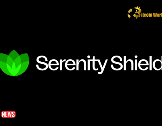 Serenity Shield Token (SERSH) Plummeted 98% Within Minutes After A Major Security Incident