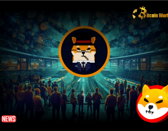 Shiba Inu Team Alerted Its Community On Upcoming NFT Launch