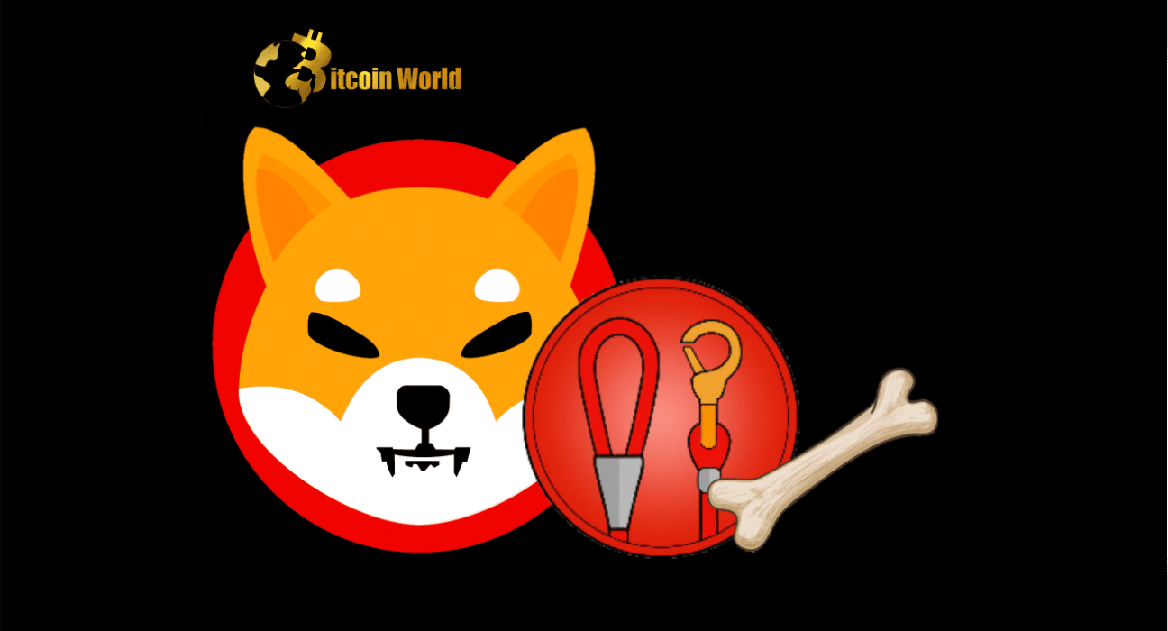 SHIB, BONE, and LEASH Have This Connection to Shibarium’s Transaction Hike