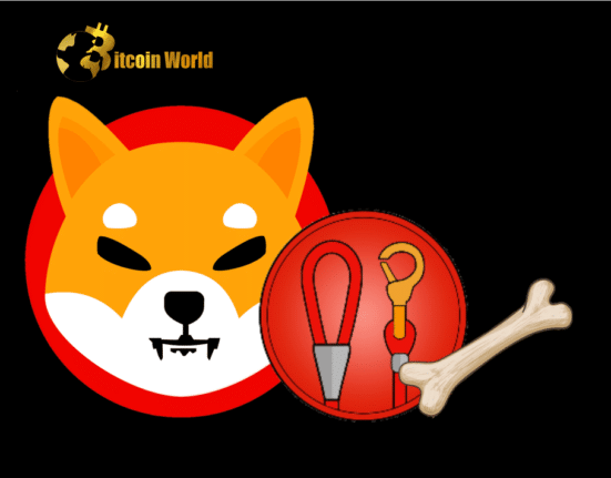 SHIB, BONE, and LEASH Have This Connection to Shibarium’s Transaction Hike