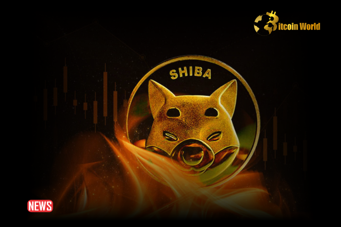 Shiba Inu (SHIB) Burn Rate Drops 58.5% As Price Drops: Reason to Worry?
