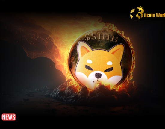 Shiba Inu Burn Rate Soars 3900% – SHIB Price Reacts