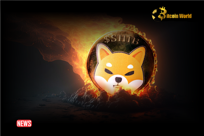 Shiba Inu Burn Rate Soars 3900% – SHIB Price Reacts
