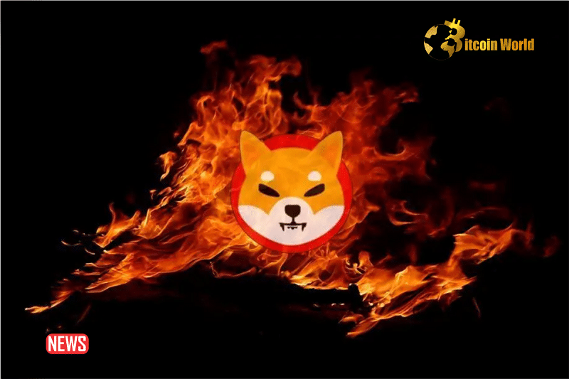 Shiba Inu Team to Automate SHIB Burns Amid Community Concerns