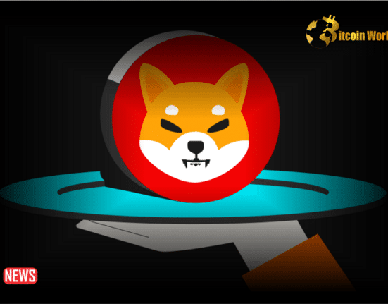 85 Million SHIB Rewards For Stakers: Shiba Inu Marketing Lead, Lucie