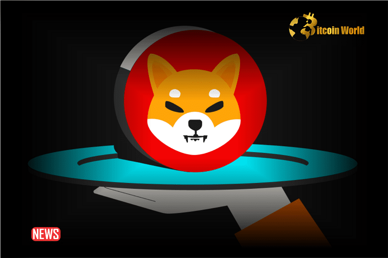 85 Million SHIB Rewards For Stakers: Shiba Inu Marketing Lead, Lucie
