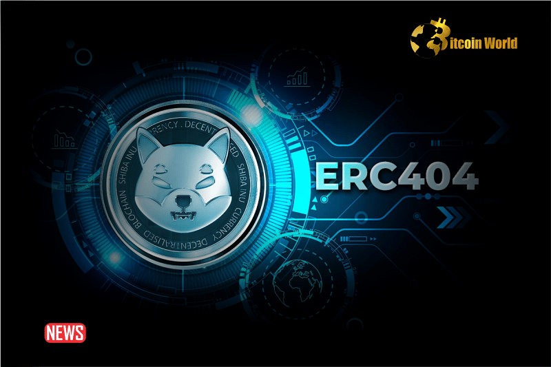SHIB Lead Dev Gives Major Update On Shiba Inu ERC404 Tokens