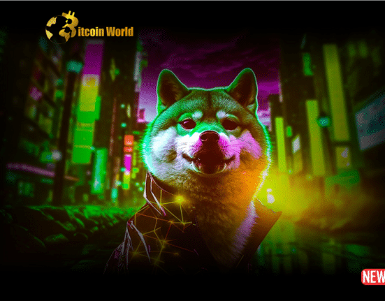 shiba ecosystem