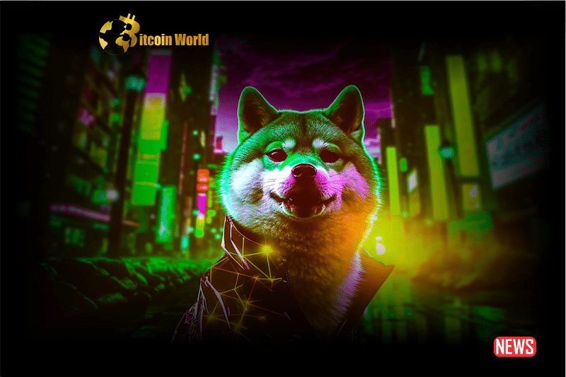 shiba ecosystem