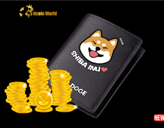 shiba inu 2 1