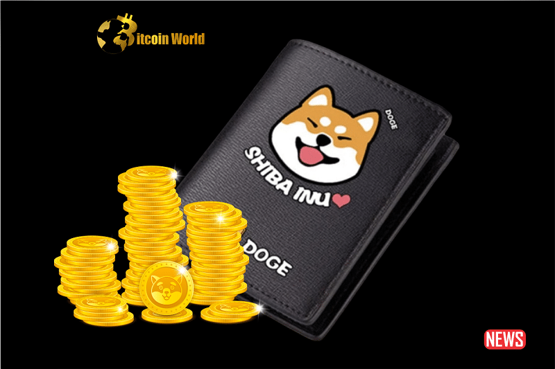 shiba inu 2 1